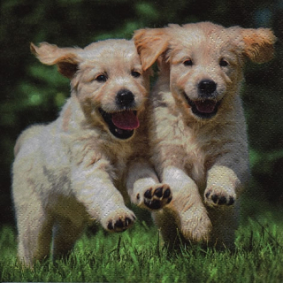 Servetel decorativ 'Happy puppies', 33cm